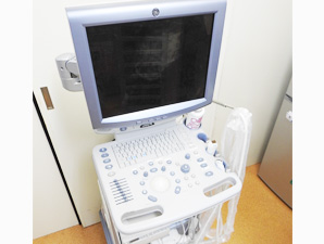 超音波診断装置   LOGIQ P5